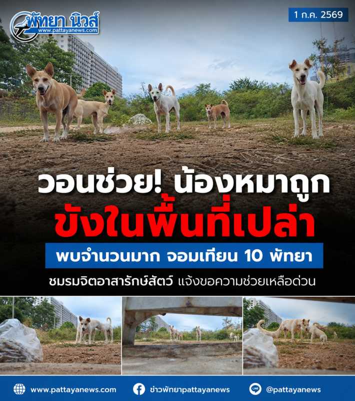เพจชมรมจิตอาสารักษ์สัตว์โพสต์ขอความช่วยเหลือว่า ได้รับแจ้งมีน้องหมาจำนวนมากถูกขัง